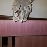 toddlattin - @dddd0t - Instagram