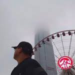 劉濤 - @todd.lau - Instagram