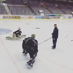 Todd Laurin - @toddlaurin - Instagram