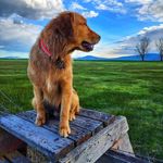 Todd Leach - @life_of_todd8709 - Instagram