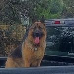 Todd Leary - @spr72 - Instagram