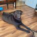 Todd Leger - Facebook