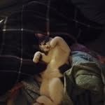 Todd Leger - @legertodd - Instagram