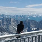 Todd Lemons - @todd.lemons - Instagram