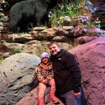 Todd Lentz - @toddple - Instagram