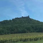 Leroy Todd - @leroytodd578 - Instagram
