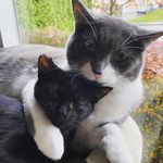 Todd & Leroy - @todd_and_leroy_bromley - Instagram