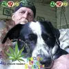 Todd Leroy Fuhrman31 - @toddleroyfuhrman3 - TikTok