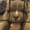 toddlester03 - @toddlester03 - TikTok