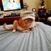 Todd Libman - Facebook