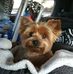 Todd Lindeman - Facebook
