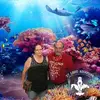 Todd Lindsay - @todd.lindsay5 - TikTok