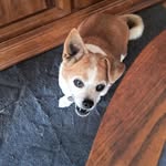 Todd Lindsey - @lytruck - Instagram