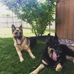 Todd Loveday - @4luvy4 - Instagram