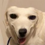 Todd - @monke.loving.toddd - Instagram