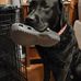 Todd C. Lowry - Facebook
