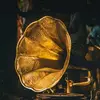 luckytodd - @luckytodd - TikTok
