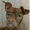lucyyyy - @lucktodd - TikTok