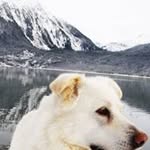 Todd Luck - @tlucker13__ - Instagram