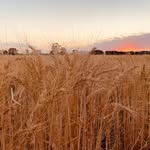 Todd Luck - @t_lucky95 - Instagram