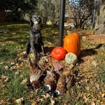 Todd Lundgren - @todd_lundgren - Instagram