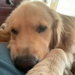 Todd Mains - @todd.mains - Instagram