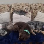 Todd Manning - @mannitp - Instagram