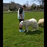 Todd manser - @_todd_manser_ - Instagram