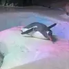 Todd Marsh - @todd.marsh61 - TikTok