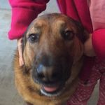 Todd - @toddmarshman - Instagram