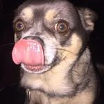 Todd Mastroianni - @toddmastroianni - Instagram