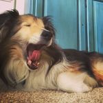 Todd - @todd_master - Instagram