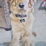 Todd Mathisen - @toddmat62 - Instagram