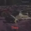 toddmarthinsen0 - @toddmarthinsen0 - TikTok