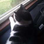 todd - @toddmccloud16 - Instagram