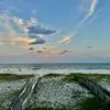 toddmccurdy98 - @toddmccurdy98 - TikTok