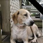 Todd Mcgeorge - Facebook
