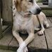 Todd Mcgeorge - Facebook