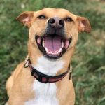 Todd McGeorge - @toddsfaces - Instagram