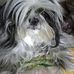 Todd McKown - Facebook