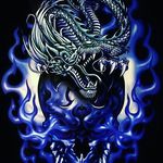 Todd Robert McNeely - @shadow_warrior30 - Instagram