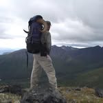 Todd Mcqueen - @mcqueenstimberservices - Instagram