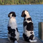 Todd Mcritchie - @mcritto1 - Instagram
