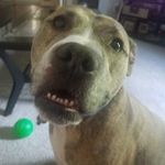 Todd Meadows - @todd_meadows - Instagram