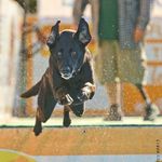Todd Merrill - @toddtropicanapunch - Instagram