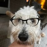 Todd Michael Metzger - @tmmetzger - Instagram