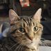 Todd Mickelson - Facebook