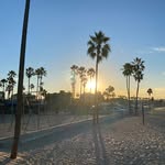 Todd Moline - @tmoe - Instagram