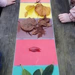 montessori toddler educare - @montessori.toddler.educare - Instagram