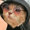 Todd Morales - @user3701434701551 - TikTok